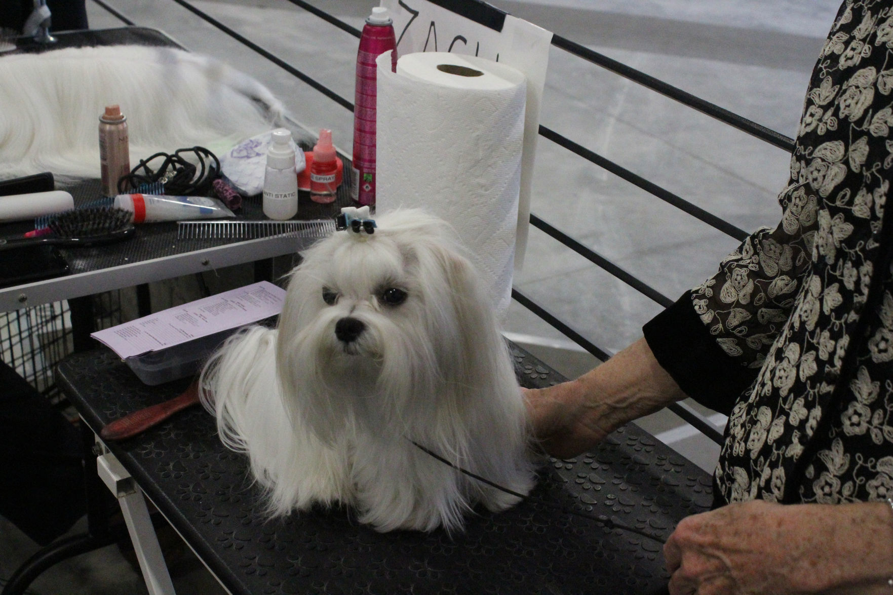 Danville Kennel Club Breeder Show